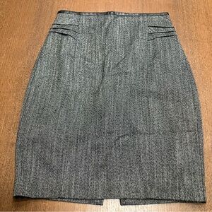 Express Gray Lined Pencil Skirt